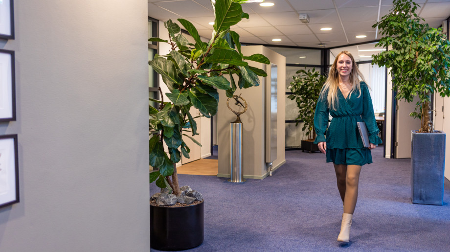 BLM accountants & adviseurs VELDHOVEN afbeelding 2